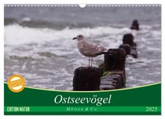 Ostseevögel (Wandkalender 2025 DIN A3 quer), CALVENDO Monatskalender