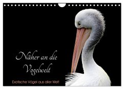 Näher an die Vogelwelt - Exotische Vögel aus aller Welt (Wandkalender 2025 DIN A4 quer), CALVENDO Monatskalender