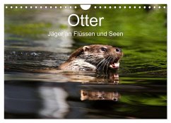 Otter - Jäger an Flüssen und Seen (Wandkalender 2025 DIN A4 quer), CALVENDO Monatskalender - Calvendo;the Snow Leopard, Cloudtail