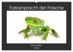 Farbenpracht der Frösche (Wandkalender 2025 DIN A2 quer), CALVENDO Monatskalender - Calvendo;Trapp, Benny