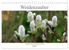 Weidenzauber (Wandkalender 2025 DIN A4 quer), CALVENDO Monatskalender - Calvendo;Friese, Susanne