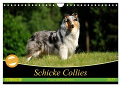 Schicke Collies (Wandkalender 2025 DIN A4 quer), CALVENDO Monatskalender - Calvendo;Janetzek, Yvonne