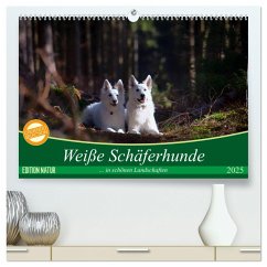 Weiße Schäferhunde in schönen Landschaften (hochwertiger Premium Wandkalender 2025 DIN A2 quer), Kunstdruck in Hochglanz