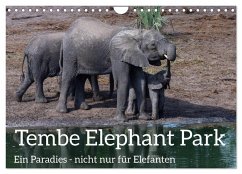 Tembe Elephant Park. Ein Paradies - nicht nur für Elefanten (Wandkalender 2025 DIN A4 quer), CALVENDO Monatskalender - Calvendo;rsiemer