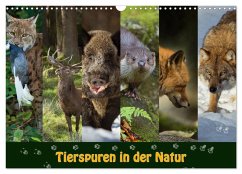 Tierspuren in der Natur (Wandkalender 2025 DIN A3 quer), CALVENDO Monatskalender