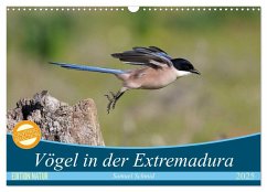 Vögel in der Extremadura (Wandkalender 2025 DIN A3 quer), CALVENDO Monatskalender