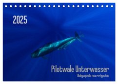Pilotwale Unterwasser - Globicephala macrorhynchus (Tischkalender 2025 DIN A5 quer), CALVENDO Monatskalender - Calvendo;Weber-Gebert, Claudia
