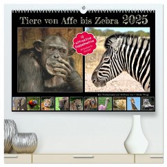 Tiere von Affe bis Zebra 2025 (hochwertiger Premium Wandkalender 2025 DIN A2 quer), Kunstdruck in Hochglanz