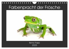 Farbenpracht der Frösche (Wandkalender 2025 DIN A4 quer), CALVENDO Monatskalender