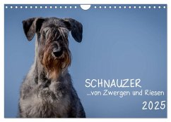 Schnauzer... von Zwergen und Riesen 2025 (Wandkalender 2025 DIN A4 quer), CALVENDO Monatskalender