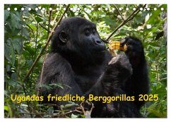Ugandas friedliche Berggorillas (Tischkalender 2025 DIN A5 quer), CALVENDO Monatskalender
