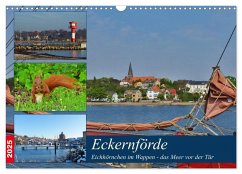 Eckernförde. Eichhörnchen im Wappen - das Meer vor der Tür (Wandkalender 2025 DIN A3 quer), CALVENDO Monatskalender