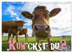 Kuhckst du? (Wandkalender 2025 DIN A4 quer), CALVENDO Monatskalender