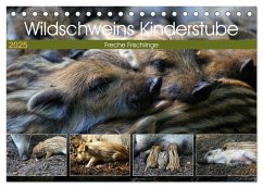 Wildschweins Kinderstube - Freche Frischlinge (Tischkalender 2025 DIN A5 quer), CALVENDO Monatskalender - Calvendo;Hebgen, Peter