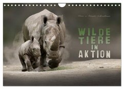 WILDE TIERE IN AKTION (Wandkalender 2025 DIN A4 quer), CALVENDO Monatskalender