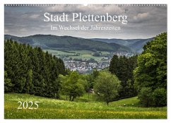Stadt Plettenberg (Wandkalender 2025 DIN A2 quer), CALVENDO Monatskalender