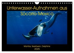 Unterwasser-Aufnahmen aus Socorro-Mexico (Wandkalender 2025 DIN A4 quer), CALVENDO Monatskalender
