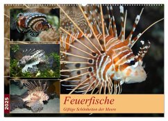 Feuerfische - Giftige Schönheiten der Meere (Wandkalender 2025 DIN A2 quer), CALVENDO Monatskalender