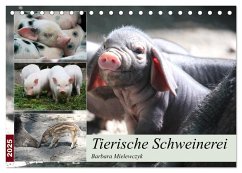 Tierische Schweinerei (Tischkalender 2025 DIN A5 quer), CALVENDO Monatskalender