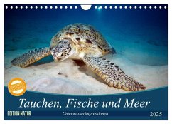 Tauchen, Fische und Meer (Wandkalender 2025 DIN A4 quer), CALVENDO Monatskalender - Calvendo;Gruse, Sven