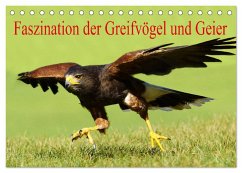 Faszination der Greifvögel und Geier (Tischkalender 2025 DIN A5 quer), CALVENDO Monatskalender