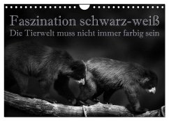 Faszination schwarz-weiß - Die Tierwelt muss nicht immer farbig sein (Wandkalender 2025 DIN A4 quer), CALVENDO Monatskalender