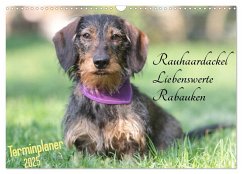 Familienplaner - Liebenswerte Rabauken - Rauhaardackel (Wandkalender 2025 DIN A3 quer), CALVENDO Monatskalender