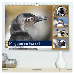 Pinguine im Portrait - Frackträger in Südafrika (hochwertiger Premium Wandkalender 2025 DIN A2 quer), Kunstdruck in Hochglanz