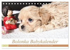 Bolonka Babykalender 2025 (Tischkalender 2025 DIN A5 quer), CALVENDO Monatskalender