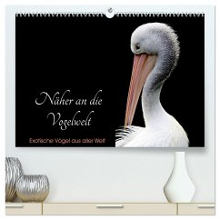 Näher an die Vogelwelt - Exotische Vögel aus aller Welt (hochwertiger Premium Wandkalender 2025 DIN A2 quer), Kunstdruck in Hochglanz