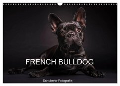 French Bulldog (Wandkalender 2025 DIN A3 quer), CALVENDO Monatskalender - Calvendo;Schuberts-Fotografie