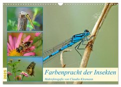 Farbenpracht der Insekten (Wandkalender 2025 DIN A3 quer), CALVENDO Monatskalender - Calvendo;Kleemann, Claudia