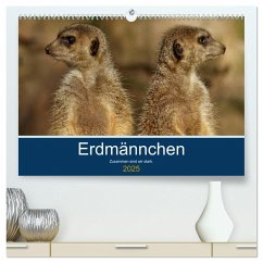 Erdmännchen - Zusammen sind wir stark (hochwertiger Premium Wandkalender 2025 DIN A2 quer), Kunstdruck in Hochglanz