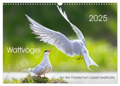 Wattvögel an der Friesischen IJsselmeerküste (Wandkalender 2025 DIN A3 quer), CALVENDO Monatskalender