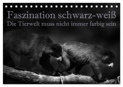 Faszination schwarz-weiß - Die Tierwelt muss nicht immer farbig sein (Tischkalender 2025 DIN A5 quer), CALVENDO Monatskalender