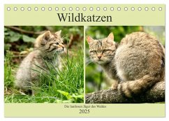 Wildkatzen - Die lautlosen Jäger des Waldes (Tischkalender 2025 DIN A5 quer), CALVENDO Monatskalender