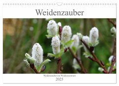 Weidenzauber (Wandkalender 2025 DIN A3 quer), CALVENDO Monatskalender