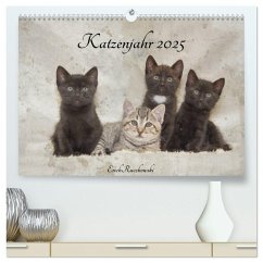 Katzenjahr 2025 (hochwertiger Premium Wandkalender 2025 DIN A2 quer), Kunstdruck in Hochglanz