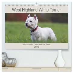 West Highland White Terrier - Selbstbewustes Powerpaket - der Westie (hochwertiger Premium Wandkalender 2025 DIN A2 quer), Kunstdruck in Hochglanz