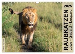 Raubkatzen - Löwe, Gepard, Leopard (Wandkalender 2025 DIN A3 quer), CALVENDO Monatskalender