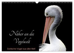 Näher an die Vogelwelt - Exotische Vögel aus aller Welt (Wandkalender 2025 DIN A3 quer), CALVENDO Monatskalender