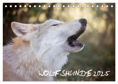 Wolfshunde 2025 (Tischkalender 2025 DIN A5 quer), CALVENDO Monatskalender