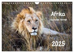 Afrika - Faszination Tierwelt (Wandkalender 2025 DIN A4 quer), CALVENDO Monatskalender - Calvendo;Bentlage, Horst