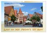 Lauf an der Pegnitz ist bunt... - Bild 1