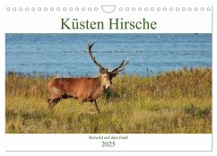 Küsten Hirsche - Rotwild auf dem Darß (Wandkalender 2025 DIN A4 quer), CALVENDO Monatskalender