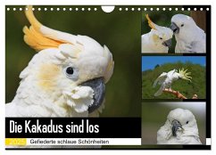 Die Kakadus sind los (Wandkalender 2025 DIN A4 quer), CALVENDO Monatskalender - Calvendo;Lindert-Rottke, Antje