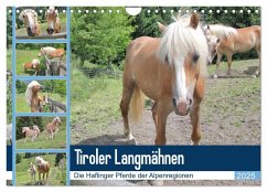 Tiroler Langmähnen (Wandkalender 2025 DIN A4 quer), CALVENDO Monatskalender