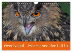 Greifvögel - Herrscher der Lüfte (Wandkalender 2025 DIN A4 quer), CALVENDO Monatskalender