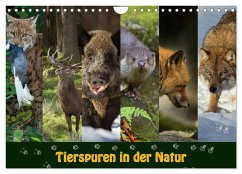 Tierspuren in der Natur (Wandkalender 2025 DIN A4 quer), CALVENDO Monatskalender