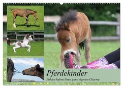 Pferdekinder - Fohlen haben ihren ganz eigenen Charme (Wandkalender 2025 DIN A2 quer), CALVENDO Monatskalender